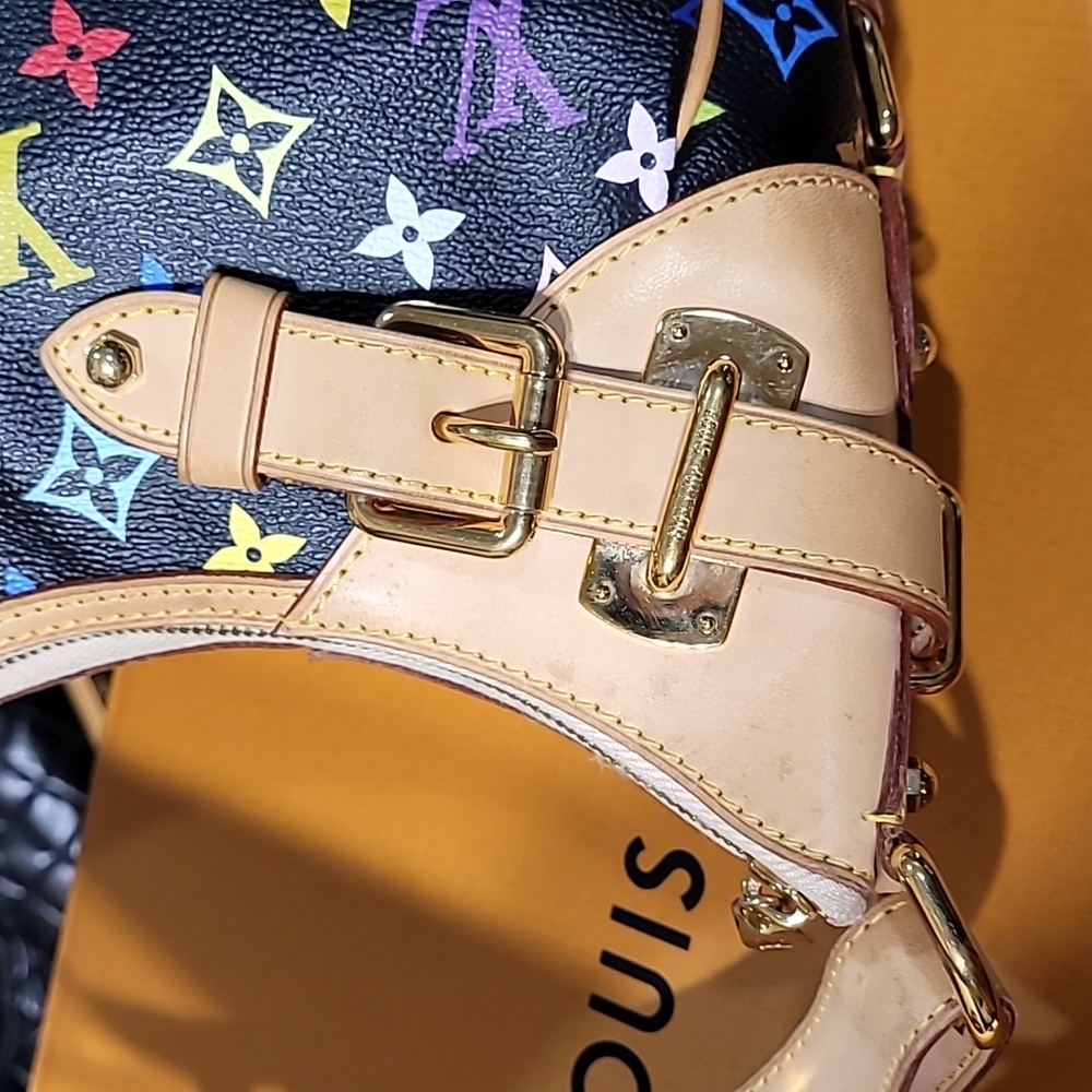 Louis Vuitton Multicolor Takashi Murakami Monogram Bag - Picture 11 of 16